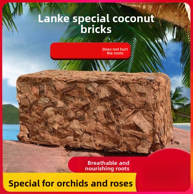 Sphagnum Moss Dry - Ladrillo de fibra de coco con