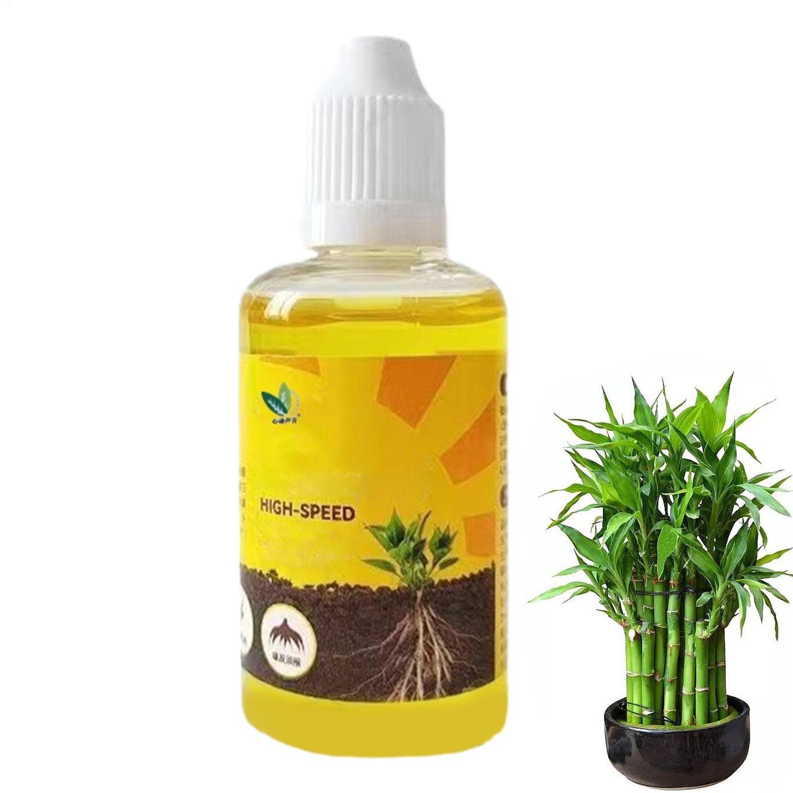 Root Stimulator Liquid - Estimulador de Enraizamiento de Plantas, Líquido