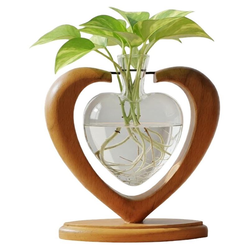 Propagation Station Vase - Estación de propagación de plantas IALJ,