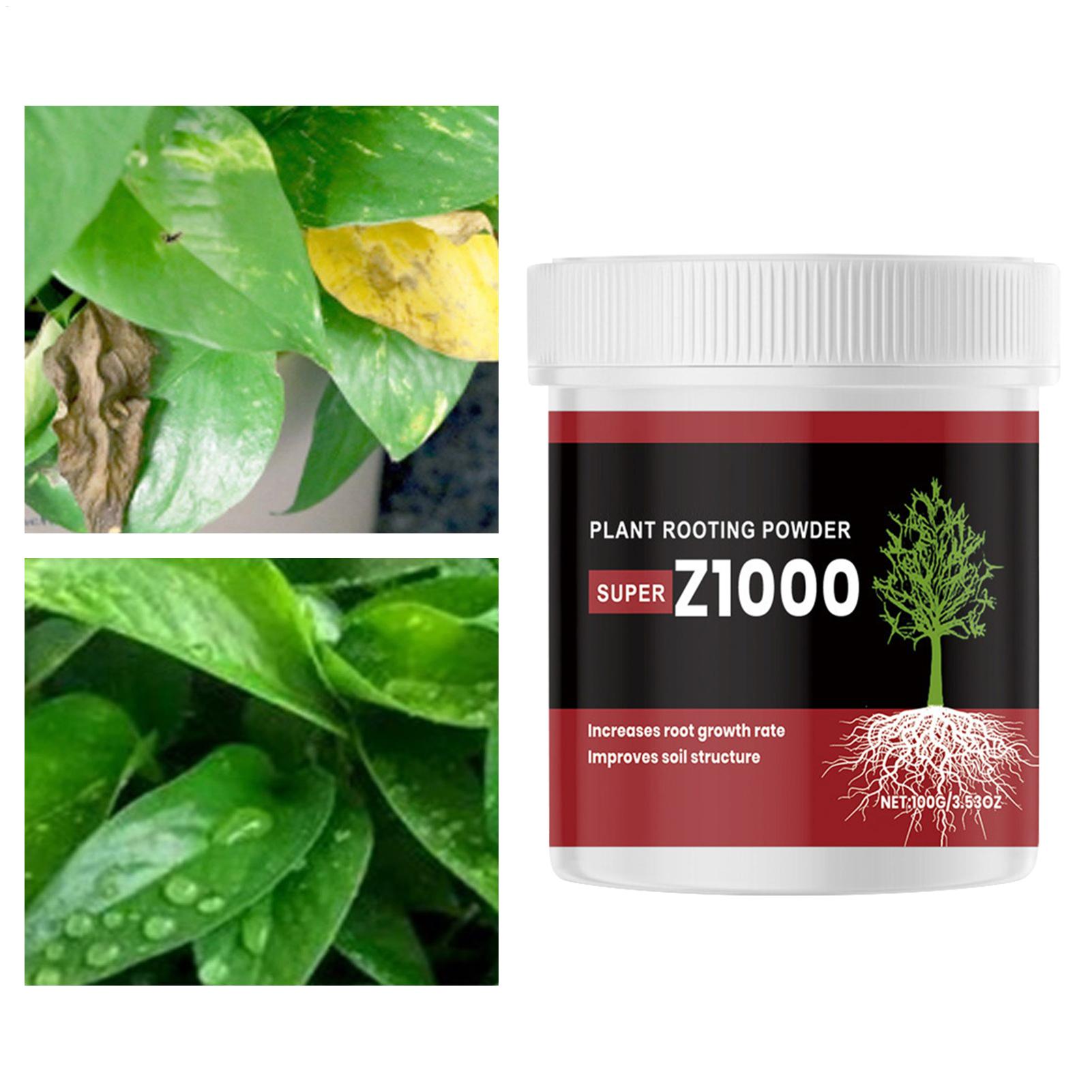 Polvo de hormonas para el enra - Root Stimulator Liquid reseña y precio