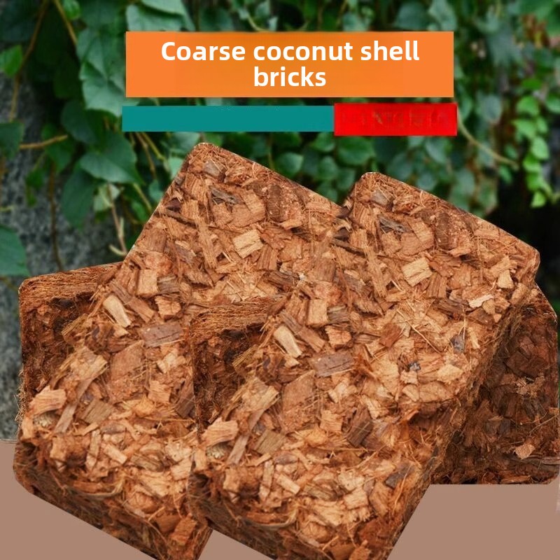Ladrillo de fibra de coco con  - Sphagnum Moss Dry reseña y precio