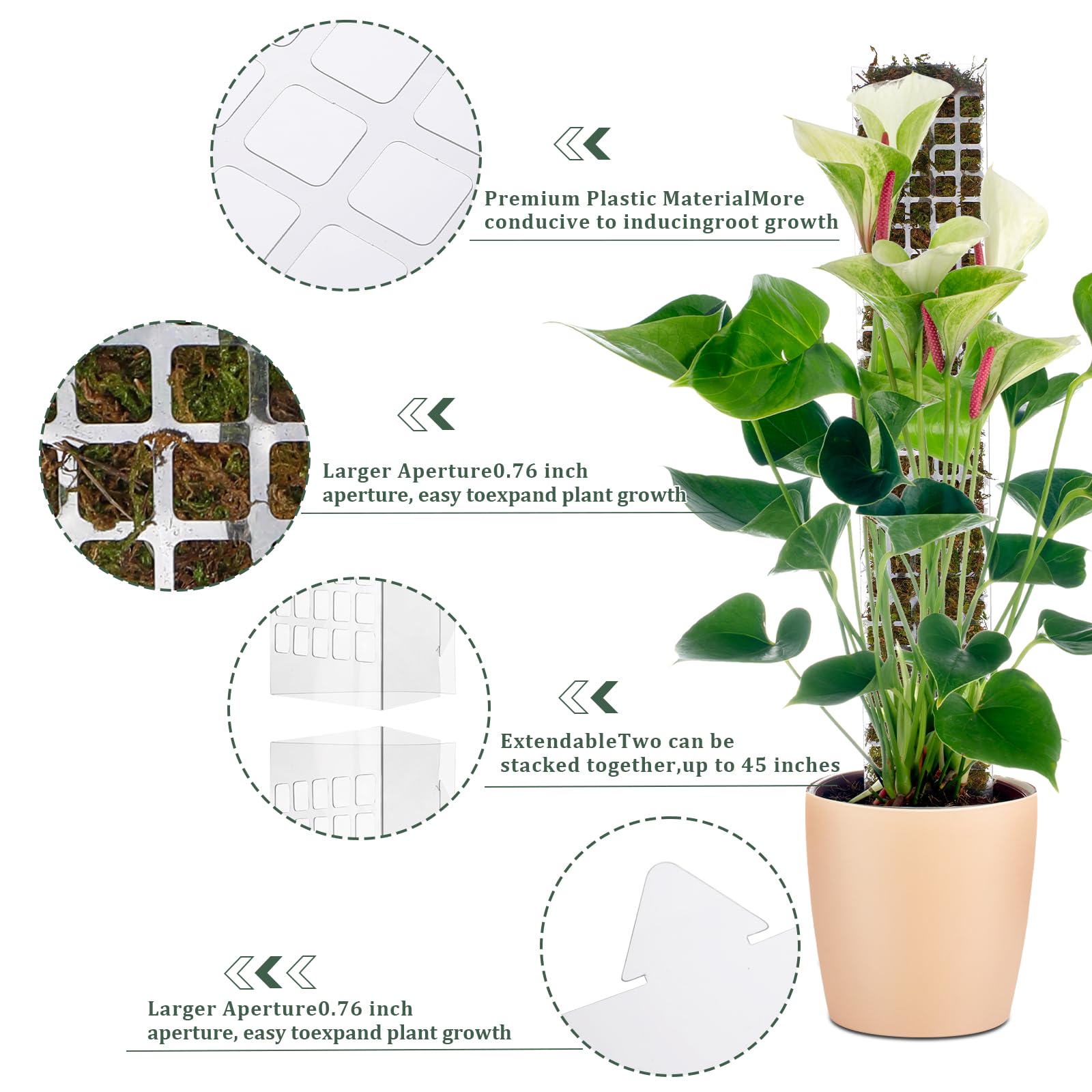 Poste de musgo de plástico api - Sphagnum Moss Dry reseña y precio