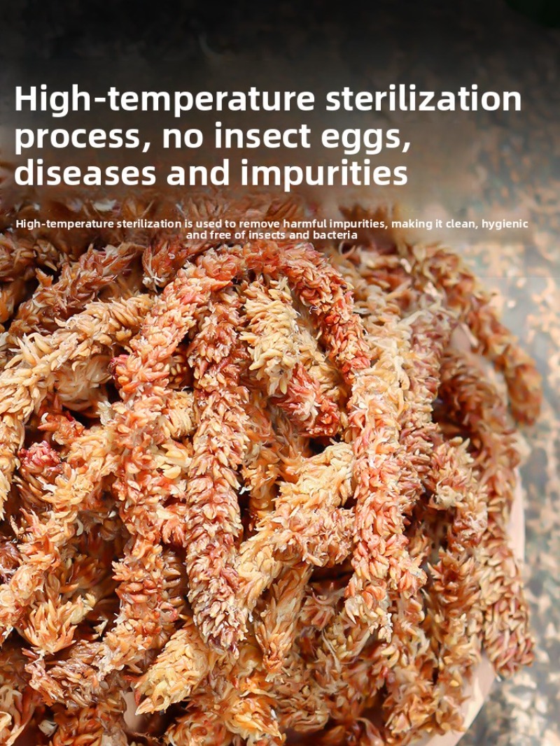 Musgo de esfagno chileno, 100  - Sphagnum Moss Dry reseña y precio