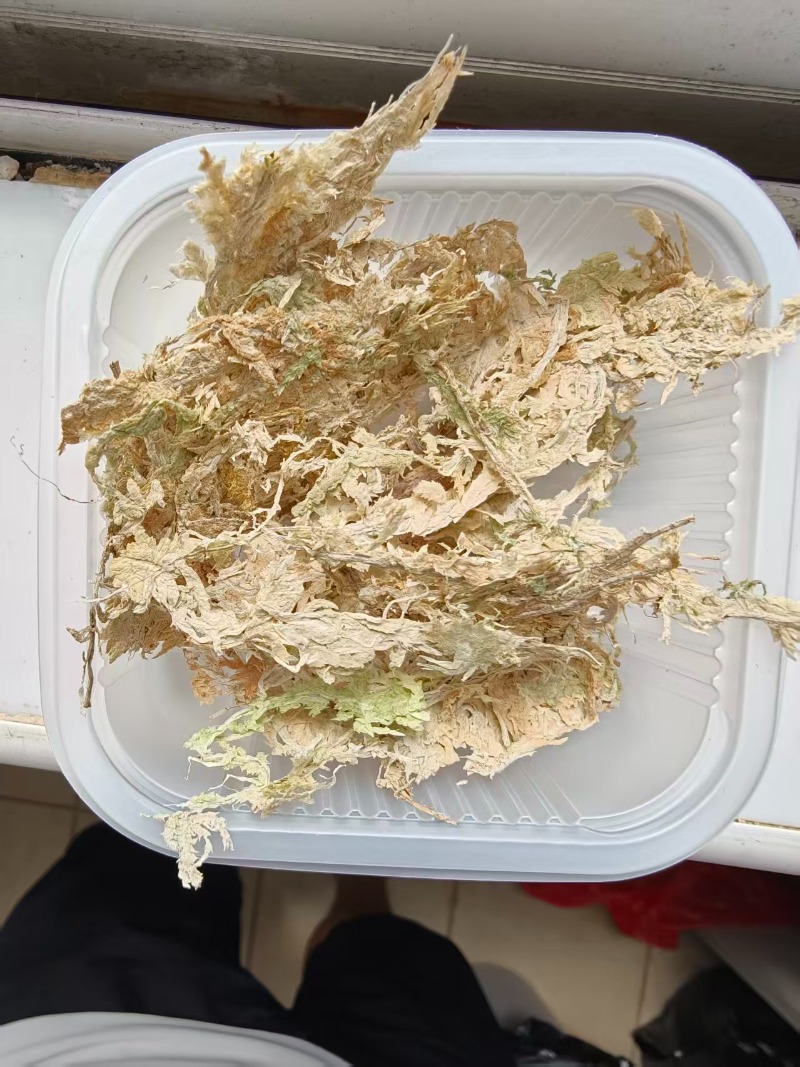 Musgo de esfagno de primera ca - Sphagnum Moss Dry reseña y precio